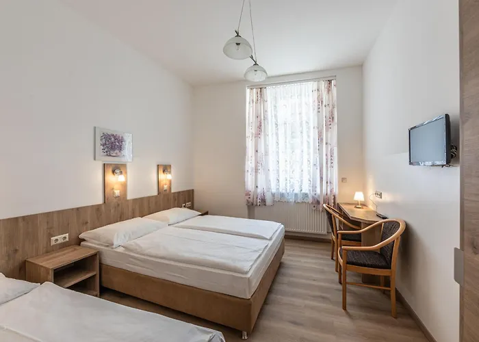 Terminus 3* Viena